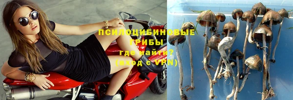 винт Алзамай