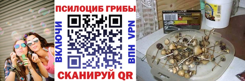 наркотики  Зубцов  Псилоцибиновые грибы ЛСД 